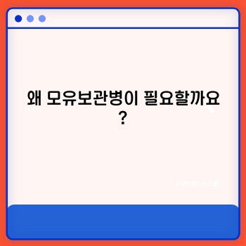029155cf3420f53a5defa098a7ff81c8.jpg