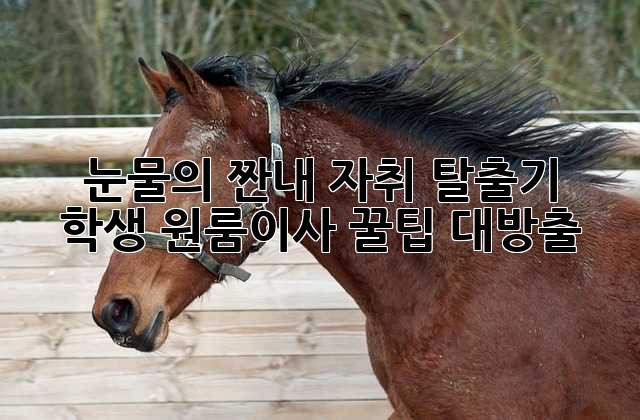 1ed7aa90fd2b62dde1c2d19c364b2cc4.jpg
