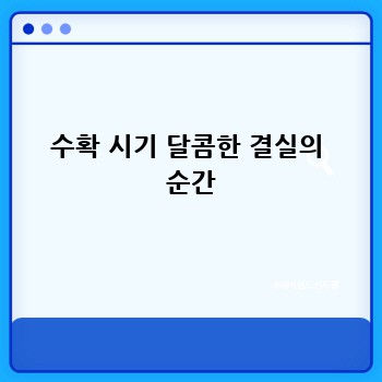 3a41a3a89ffa38f5e16d0208a56c9e4d.jpg