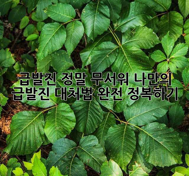 3b79dd311ebe3a8402911133ddd8b820.jpg