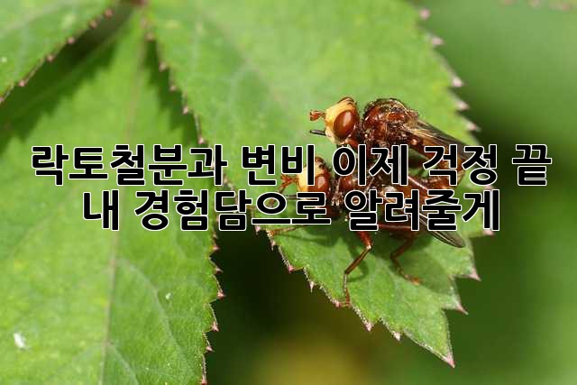 446dd96a4adc9616ba462881ac7691a6.jpg