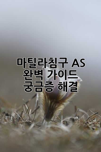 c9fc031564fc8d2b14268eff656b43a8.jpg