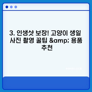 fe69c4060142bb406ec499cb9960e72b.jpg