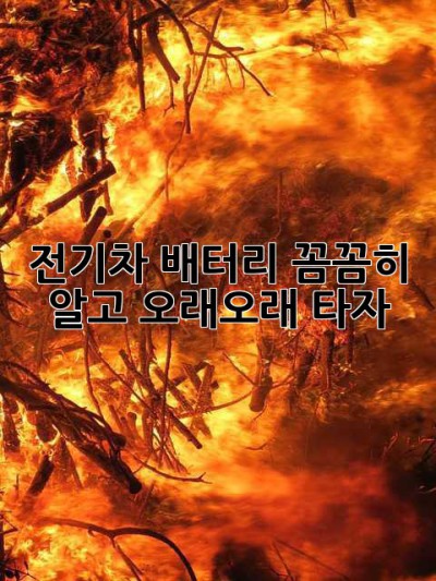 전기차 배터리, 꼼꼼히 알고 오래오래 타자!