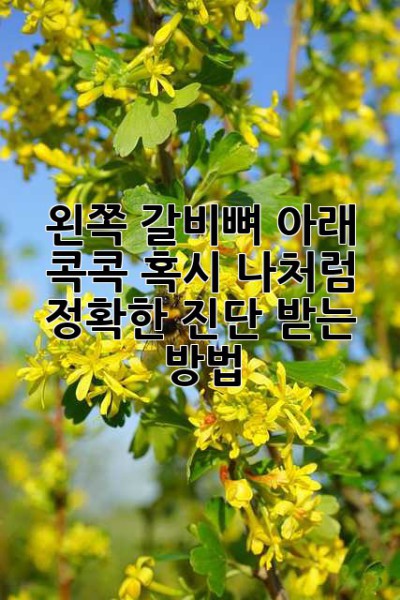 왼쪽 갈비뼈 아래 콕콕! 혹시 나처럼?  정확한 진단 받는 방법