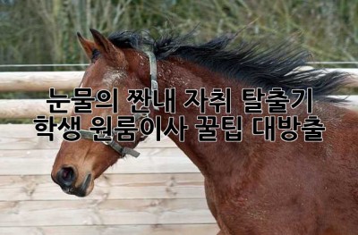 🎒 눈물의 짠내 자취 탈출기! 학생 원룸이사 꿀팁 대방출 🚚