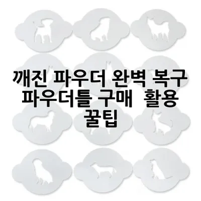 깨진 파우더 완벽 복구! 파우더틀 구매 & 활용 꿀팁