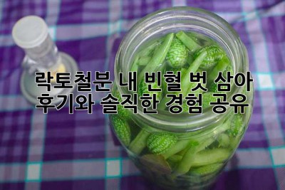 락토철분, 내 빈혈 벗 삼아 💕 후기와 솔직한 경험 공유
