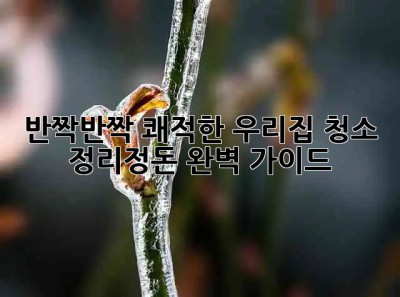 ✨반짝반짝✨ 쾌적한 우리집🏡 청소 & 정리정돈 완벽 가이드