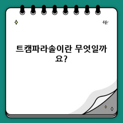 트캠 파라솔 완벽 가이드: 종류, 장단점, 선택 꿀팁까지!