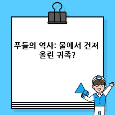 푸들 완전정복: 역사, 성격, 관리법까지 한번에!