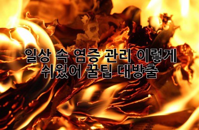 🔥 일상 속 염증 관리, 이렇게 쉬웠어? 꿀팁 대방출! 🍯