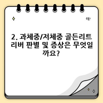골든리트리버 건강하게 똑똑하게! 체중 관리 완벽 가이드