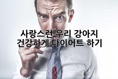 사랑스런 우리 강아지, 건강하게 다이어트 하기🐶