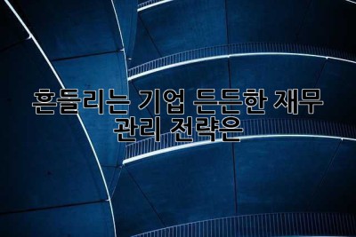 흔들리는 기업, 든든한 재무 관리 전략은? 🤔