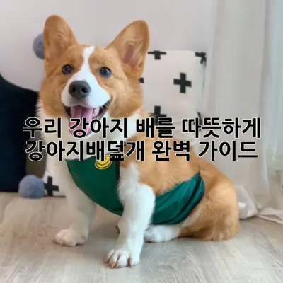 우리 강아지 배를 따뜻하게! 강아지배덮개 완벽 가이드