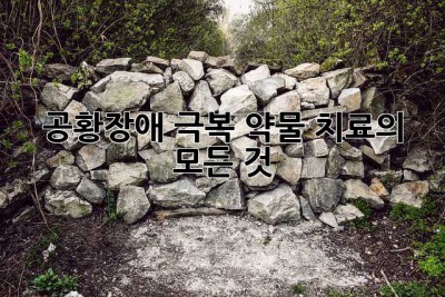 공황장애 극복, 약물 치료의 모든 것