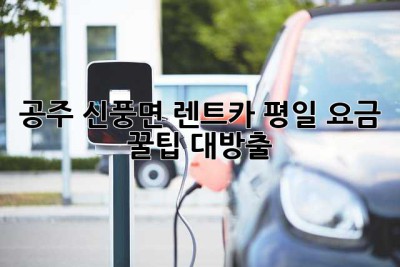 공주 신풍면 렌트카🚗 평일 요금 꿀팁 대방출! ✨