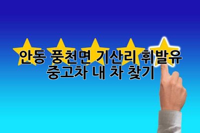 안동 풍천면 기산리 휘발유 중고차, 내 차 찾기!