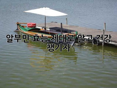 알부민 효능 제대로 알고 건강 챙기자!