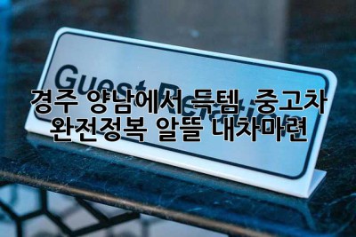 경주 양남에서 득템?! 🚗 중고차 완전정복! #알뜰 #내차마련