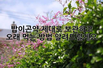 밥이곤약, 제대로 보관하고 오래 먹는 방법 알려드릴게요!