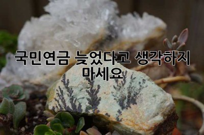 국민연금, 늦었다고 생각하지 마세요! 🤔