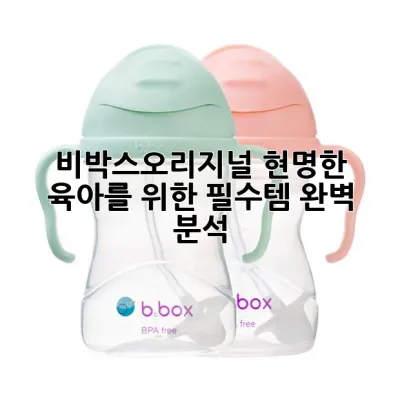 비박스오리지널, 현명한 육아를 위한 필수템 완벽 분석
