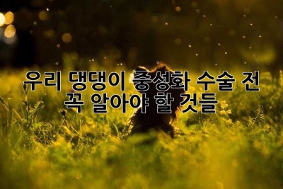 우리 댕댕이, 중성화 수술 전 꼭 알아야 할 것들!