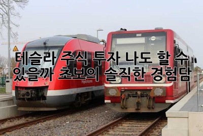 테슬라 주식 투자, 나도 할 수 있을까? 초보의 솔직한 경험담