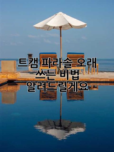 트캠 파라솔 오래 쓰는 비법, 알려드릴게요! ✨