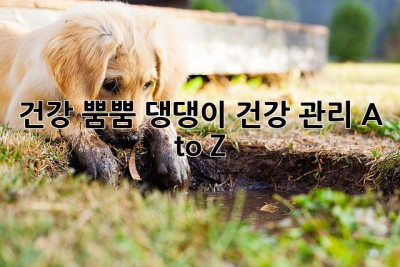 건강 뿜뿜! 댕댕이 건강 관리 A to Z🐶💖