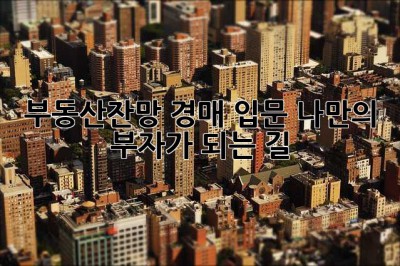 부동산잔망? 경매 입문, 나만의 부자가 되는 길!