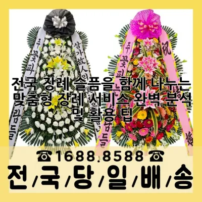 전국 장례, 슬픔을 함께 나누는 맞춤형 장례 서비스 완벽 분석 및 활용 팁