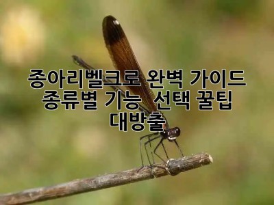 종아리벨크로 완벽 가이드😎 종류별 기능 & 선택 꿀팁 대방출!