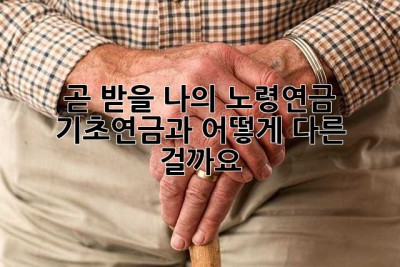 곧 받을 나의 노령연금, 기초연금과 어떻게 다른 걸까요? 🤔