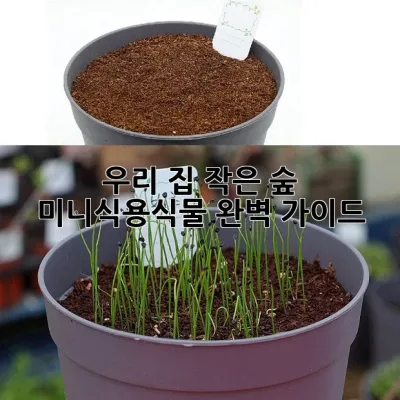 우리 집 작은 숲, 미니식용식물 완벽 가이드