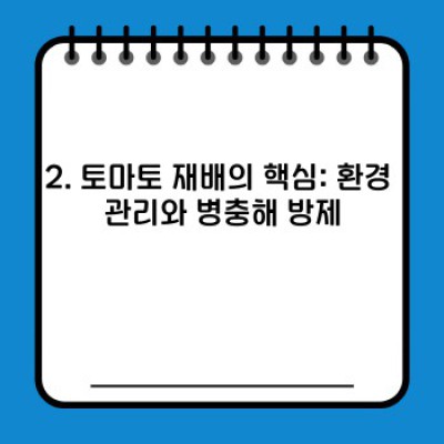 토마토 농장 운영의 A부터 Z: 성공적인 토마토 재배를 위한 완벽 가이드