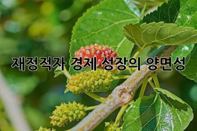 재정적자: 경제 성장의 양면성