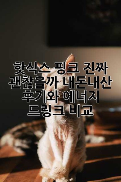 핫식스 핑크, 진짜 괜찮을까? 내돈내산 후기와 에너지 드링크 비교!