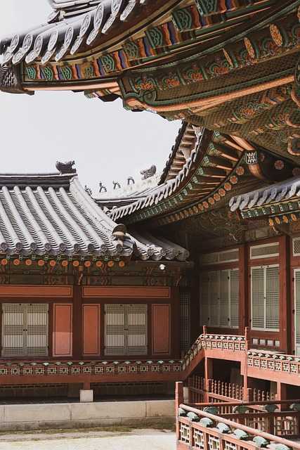 젠한국키디007.jpg